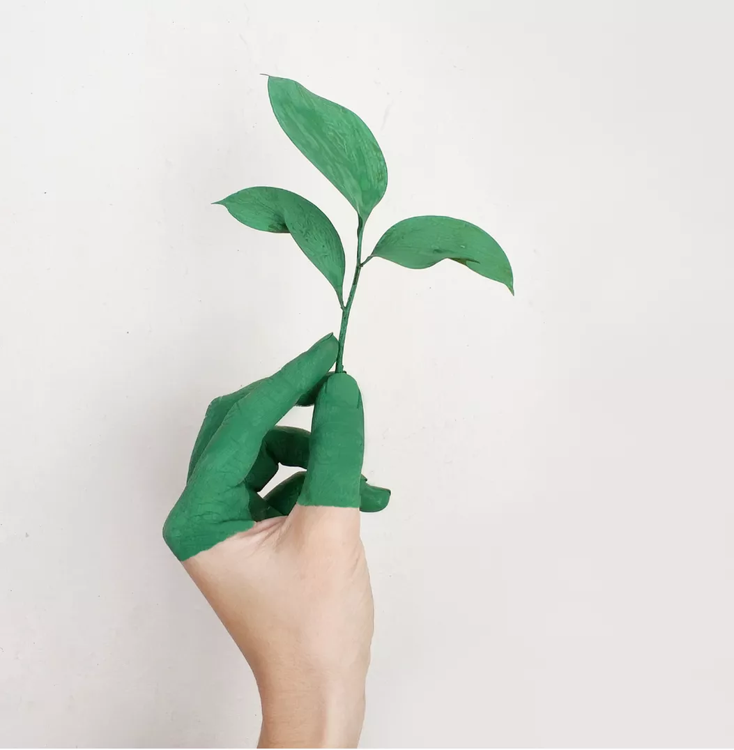 Growth - GS Financial consultants