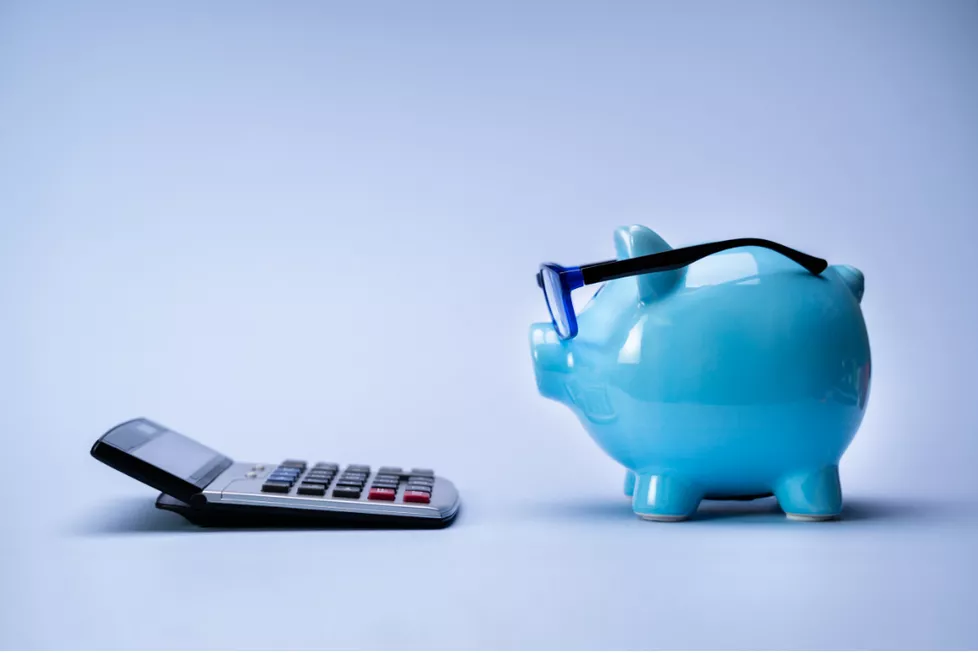 Piggy Bank Left - GS Financial consultants