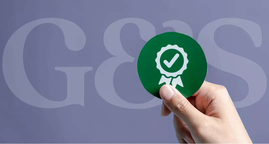 ROC Filing Company Law Compliance - GS Financial Consultants Services